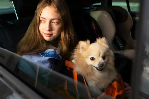 Pet-Friendly Airport Limo Service in Toronto